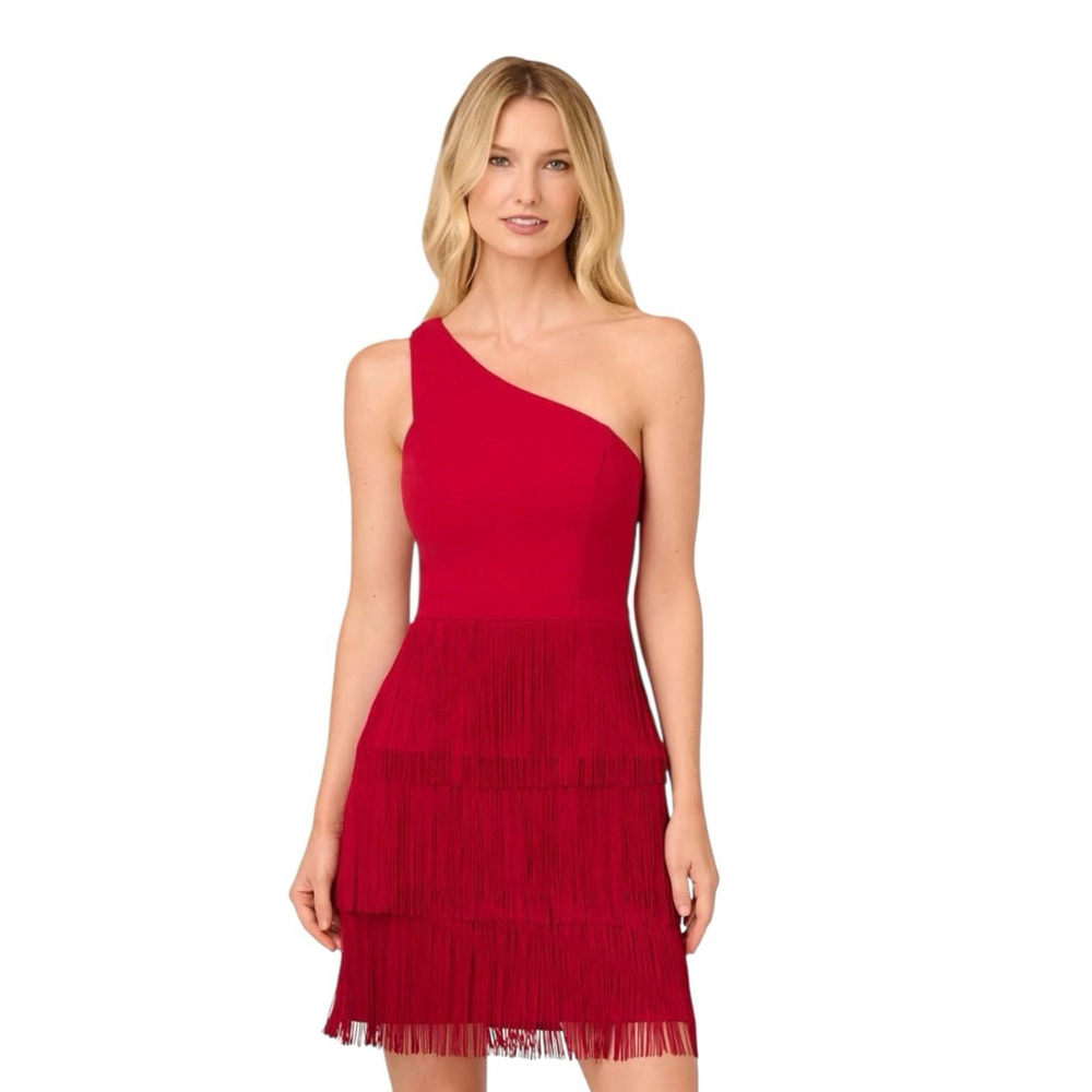 ADRIANNA PAPELL One Shoulder Asymmetric Fringe Mini Dress Red Size 8